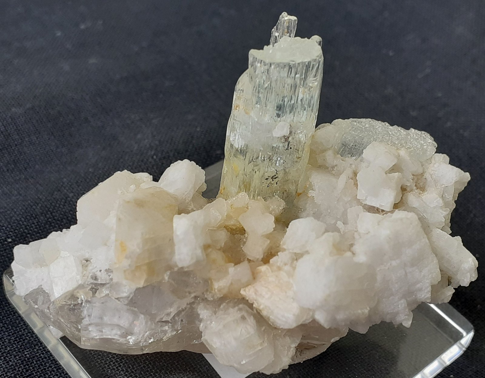 Beryl (variety aquamarine), Albite, Quartz
5 x 3 cm
(Autor: Volkmar Stingl)
