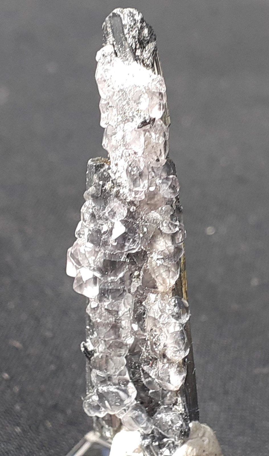 Stibnite, Fluorite
4,5 x 1 cm
(Autor: Volkmar Stingl)