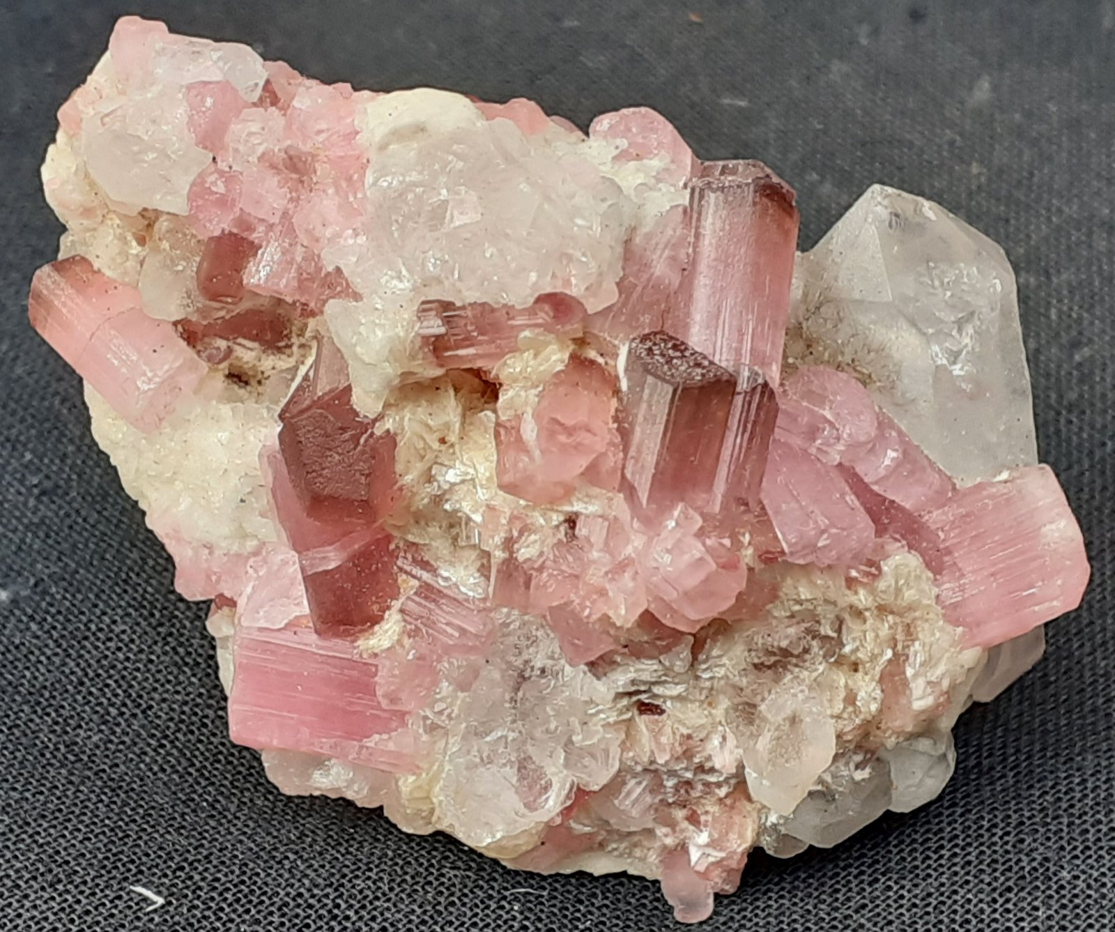Tourmaline (variety rubellite), Quartz
4,5 x 3 cm
(Autor: Volkmar Stingl)
