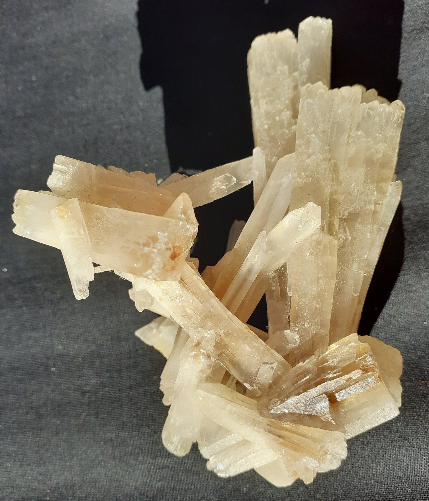 Celestine, Sulfur
9 x 7 cm
(Autor: Volkmar Stingl)