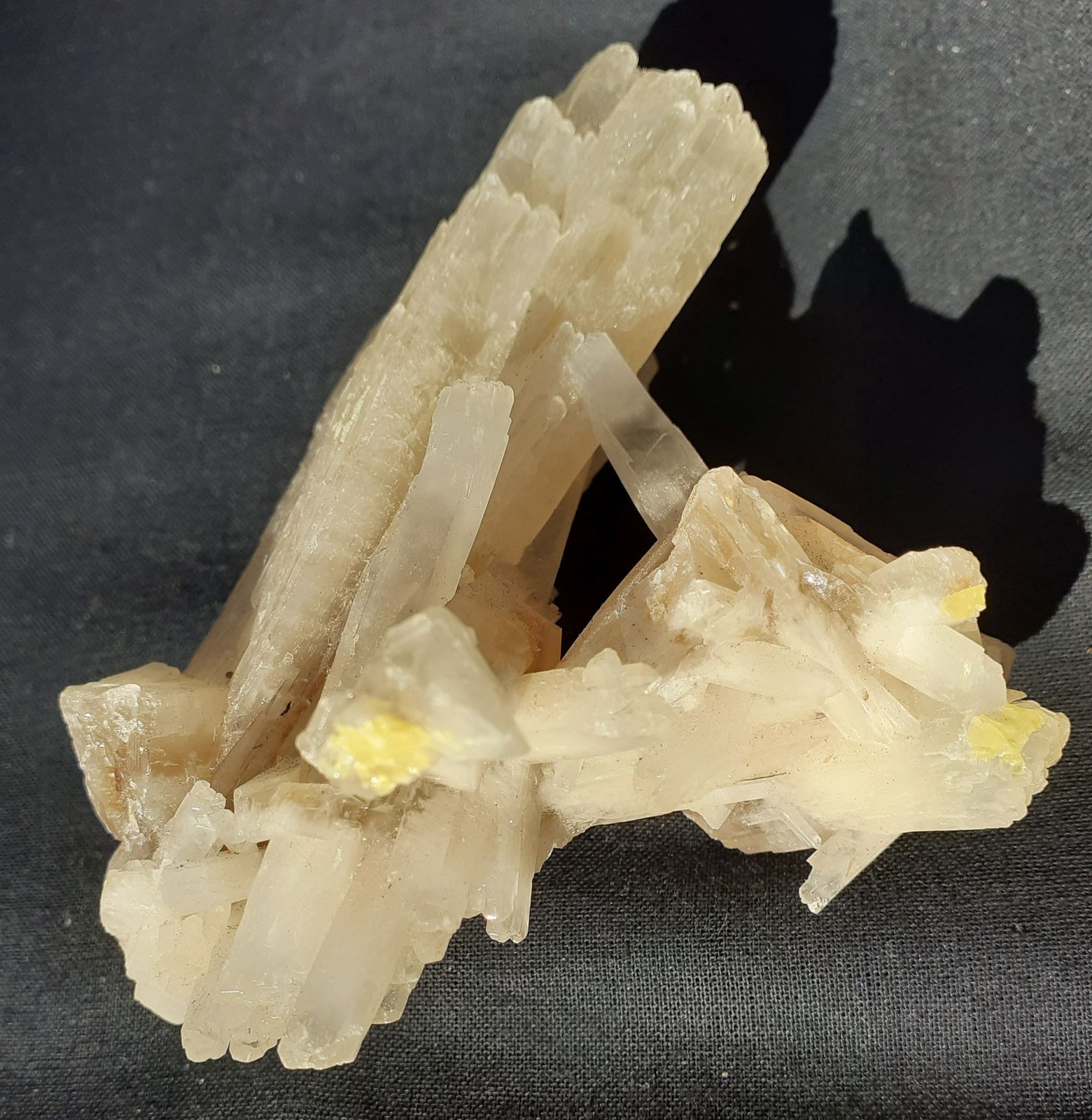 Celestine, Sulfur
9 x 7 cm
(Autor: Volkmar Stingl)