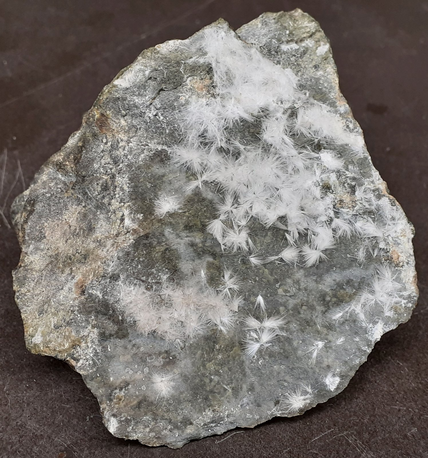 Artinite
6,5 x 6 cm
(Autor: Volkmar Stingl)