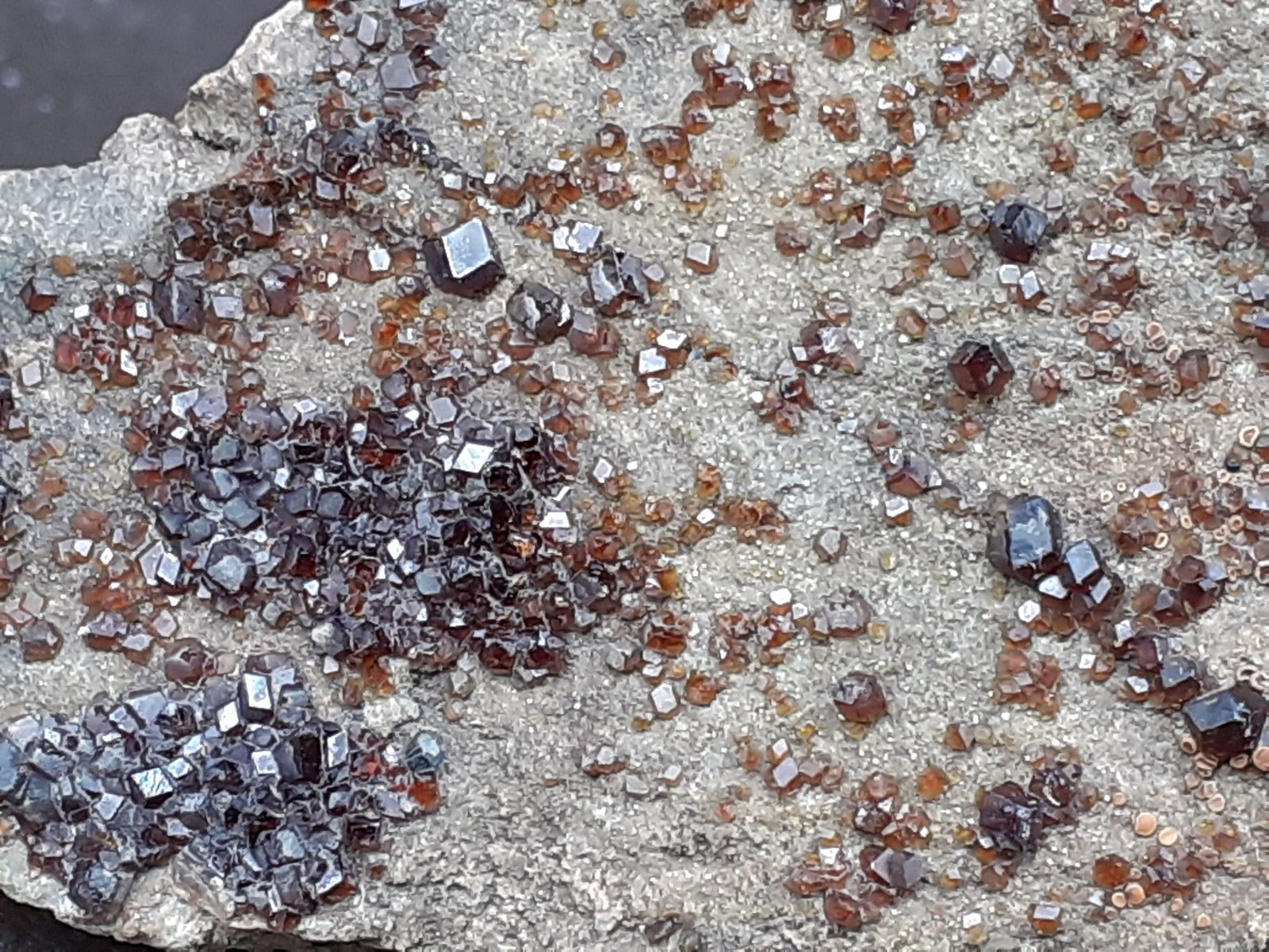 Grossular (variety hessonite)
6 x 3,5 cm
(Autor: Volkmar Stingl)