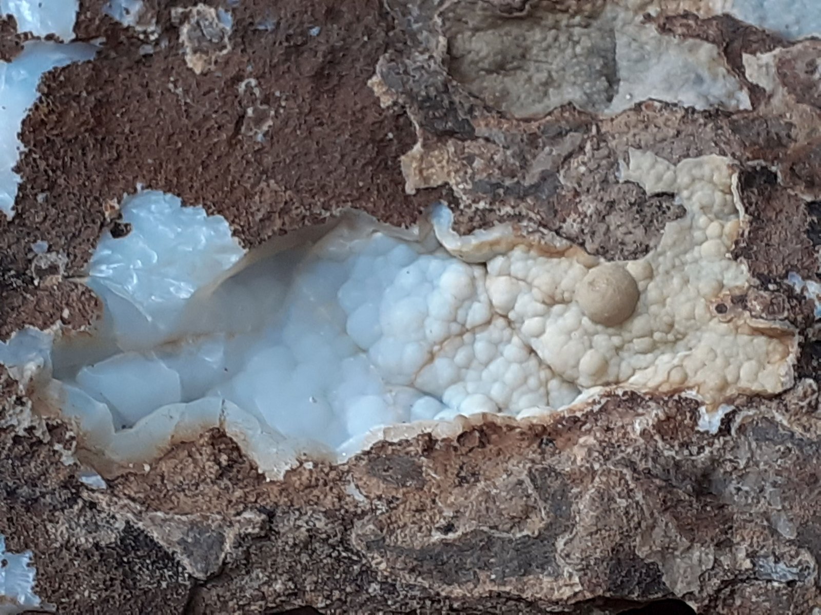 Quartz (variety Chalcedony)
FoV 6 x 4 cm
(Autor: Volkmar Stingl)