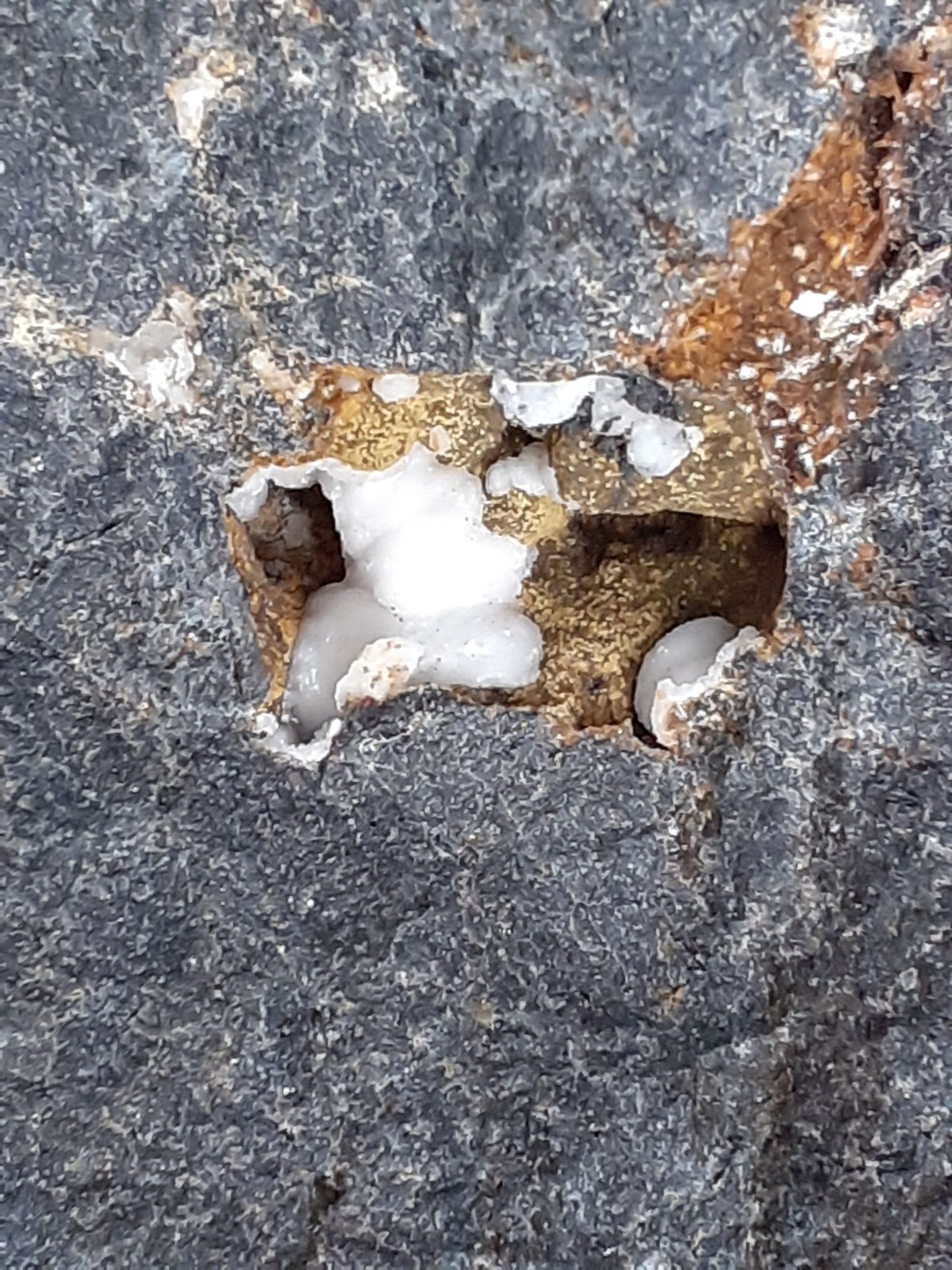 Ferrierite-Mg
FoV 1,5 x 1 cm
(Autor: Volkmar Stingl)