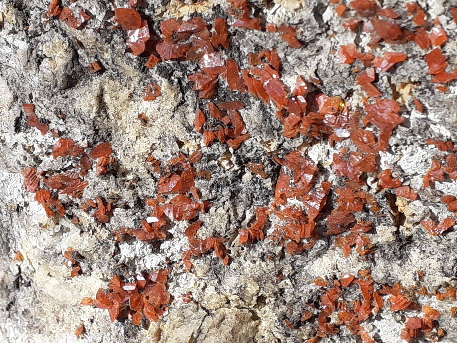 Wulfenite, Galena
11 x 10 cm
(Autor: Volkmar Stingl)