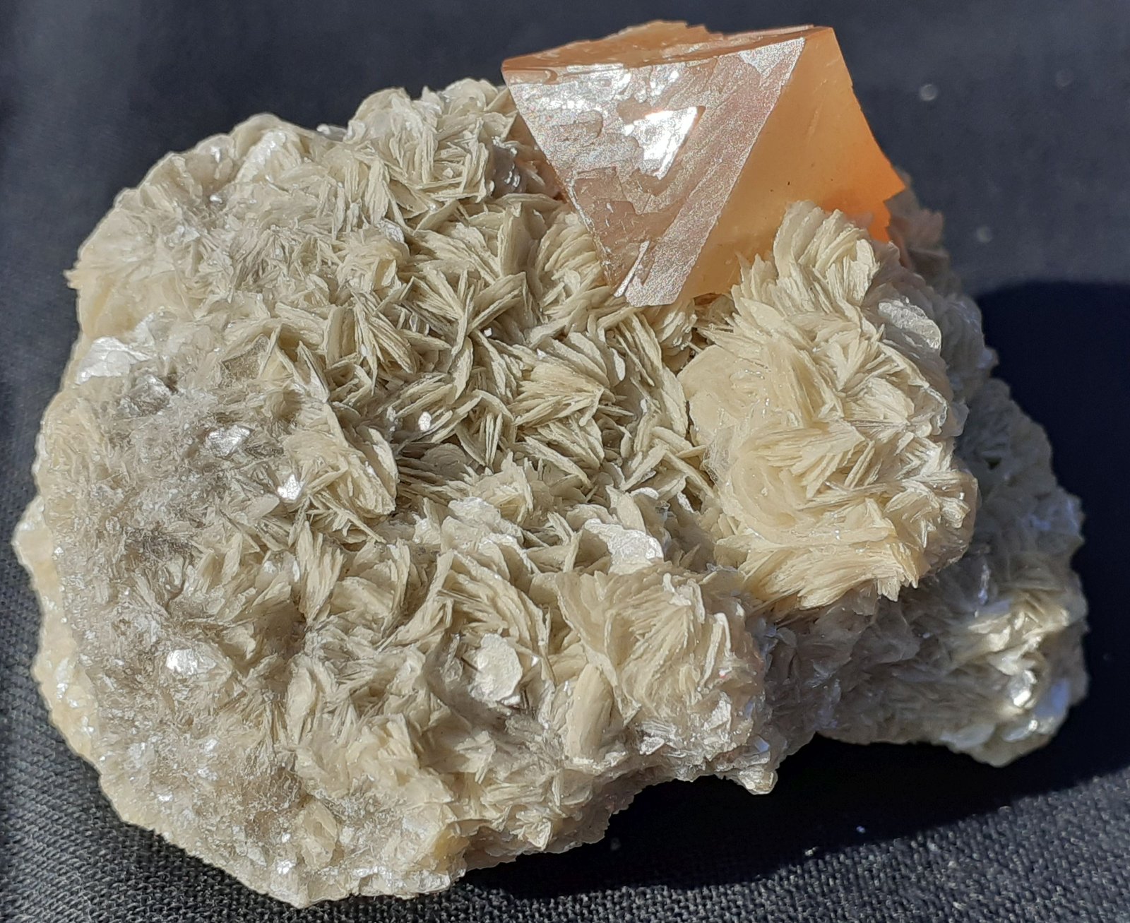 Scheelite, Muscovite
5 x 3,5 cm
(Autor: Volkmar Stingl)