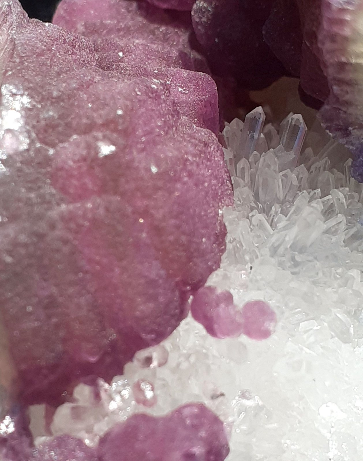Fluorite, Quartz
7,5 x 7 cm
(Autor: Volkmar Stingl)