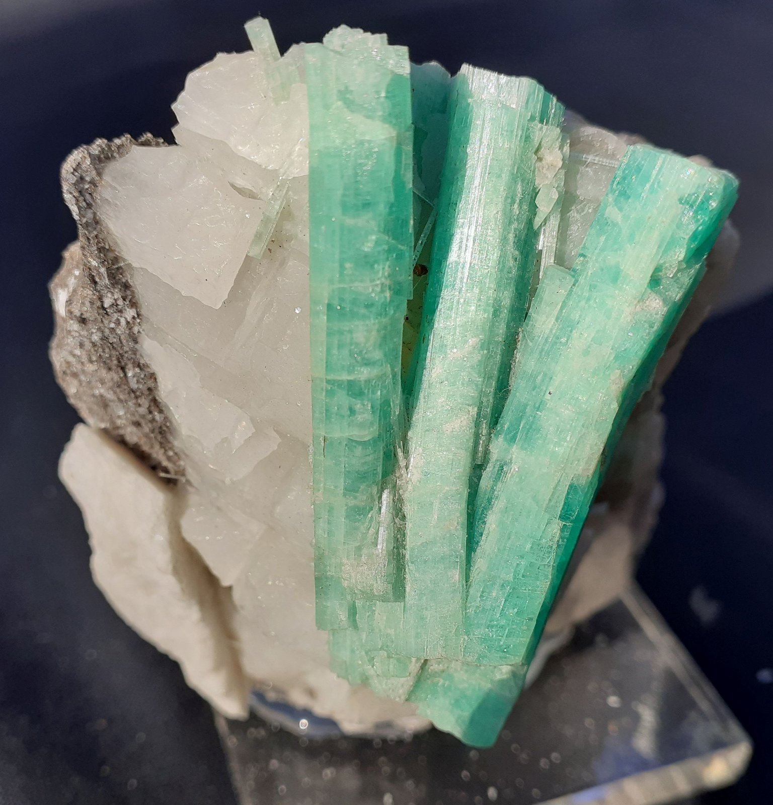 Beryl (variety Emerald)
7 x 6 cm
(Autor: Volkmar Stingl)