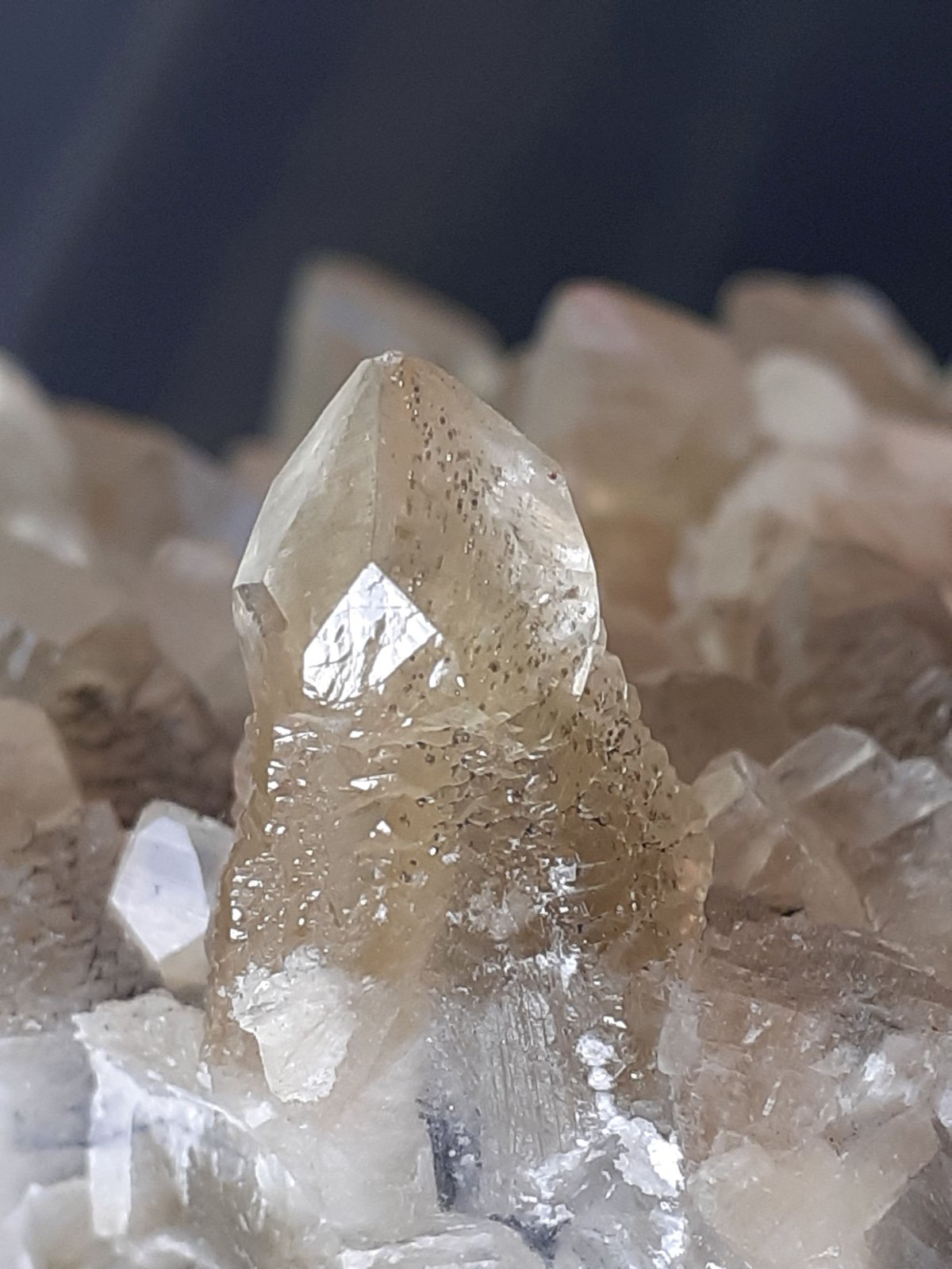 Calcite
13,5 x 11
(Autor: Volkmar Stingl)