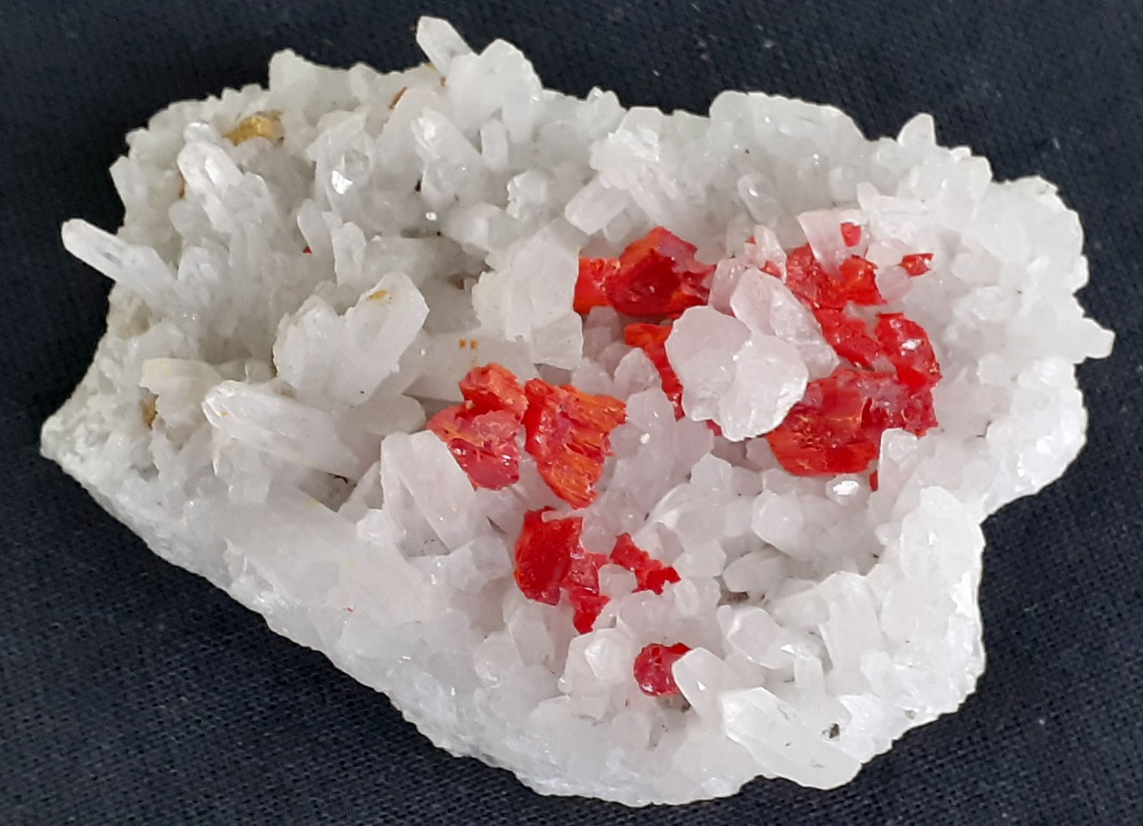 Realgar, Quartz
6 x 4 cm
(Autor: Volkmar Stingl)