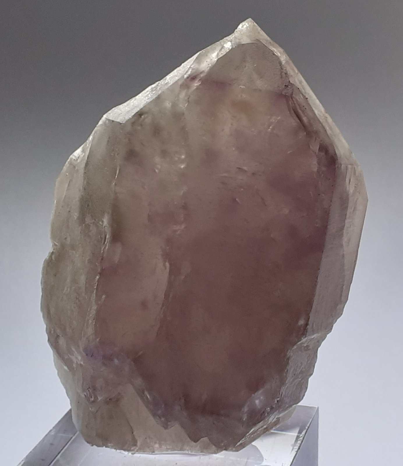 Quartz (varety amethyst)
5,5 x 4,5 x 2,5 cm
(Autor: Volkmar Stingl)