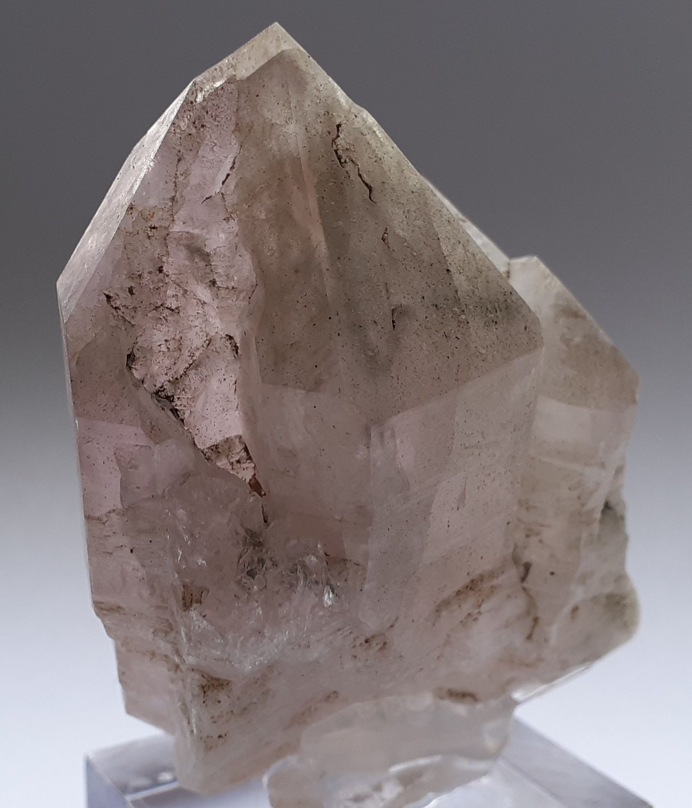 Quartz (variety amethyst)
5,5 x 4,5 x 2,5 cm
(Autor: Volkmar Stingl)