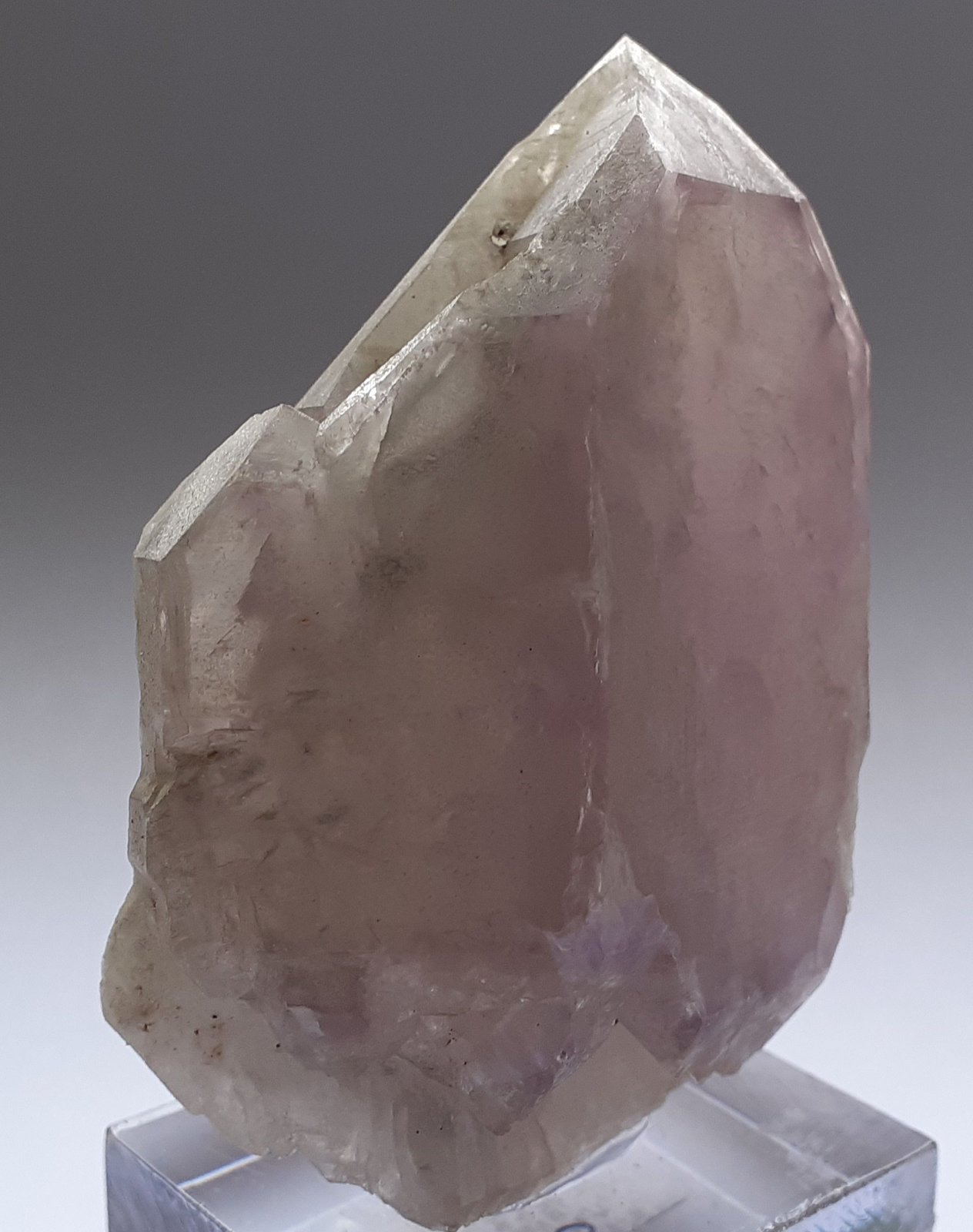 Quartz (variety amethyst)
5,5 x 4,5 x 2,5 cm
(Autor: Volkmar Stingl)