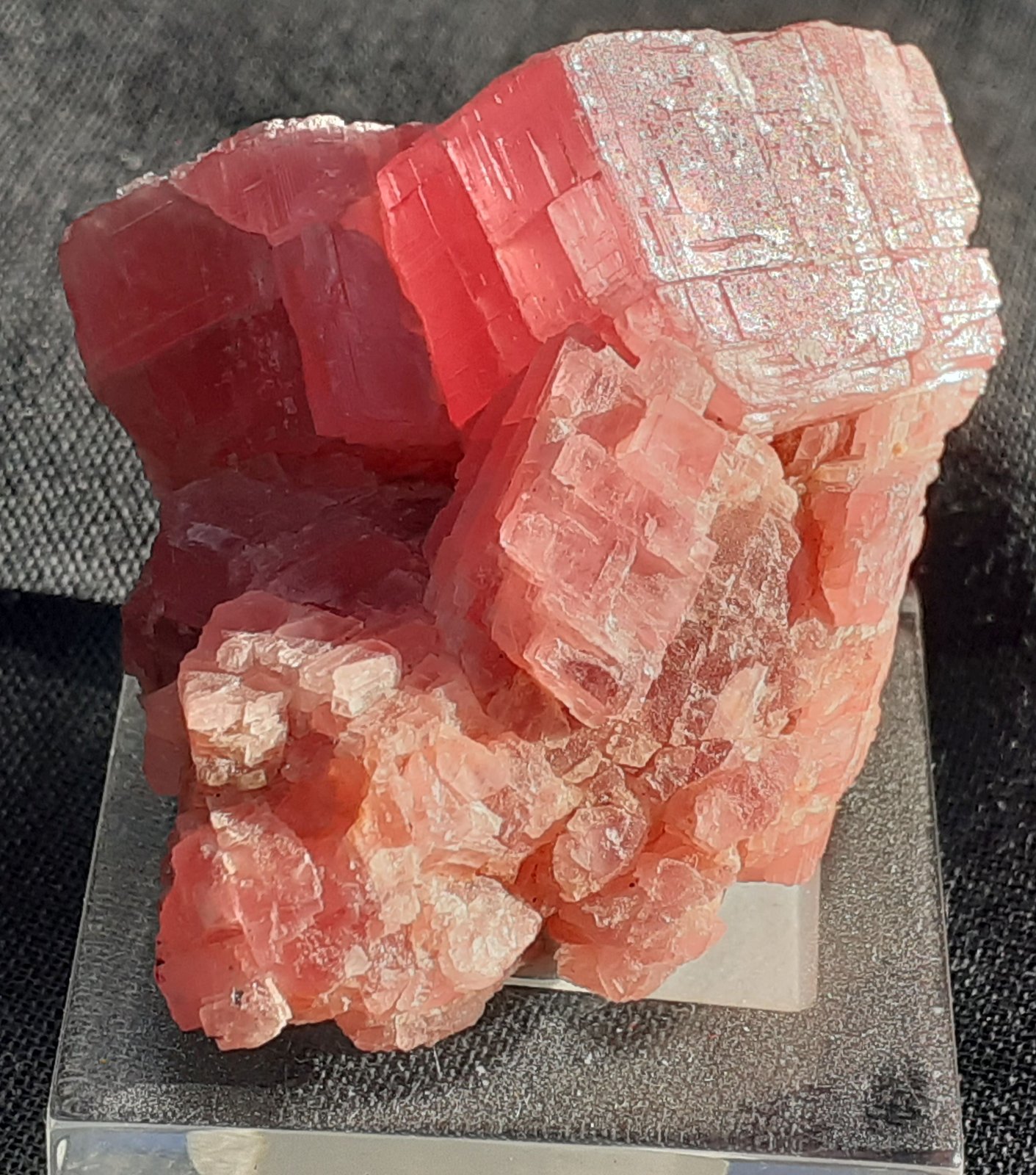 Rhodochrosite
3,5 x 3 cm
(Autor: Volkmar Stingl)