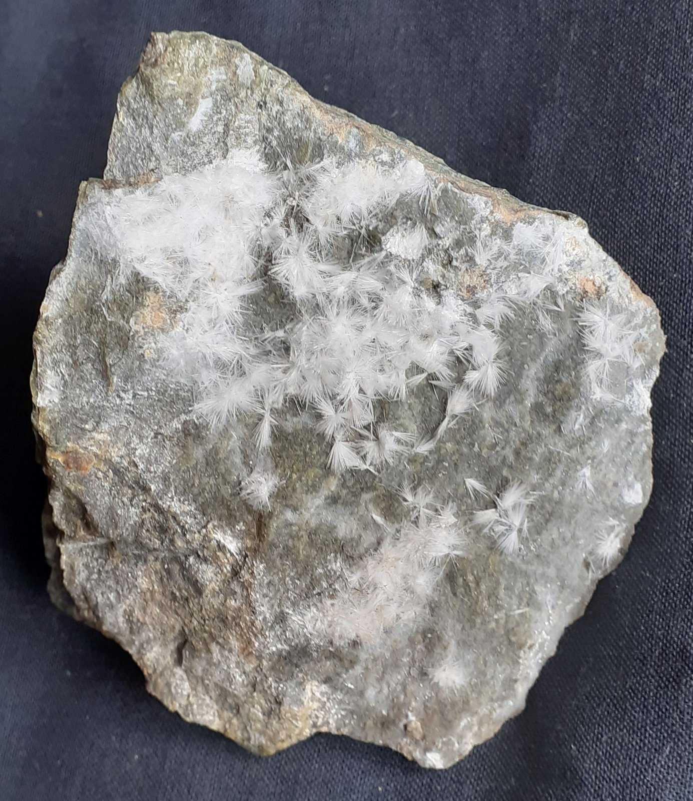 Artinite
6,5 x 6 cm
(Autor: Volkmar Stingl)
