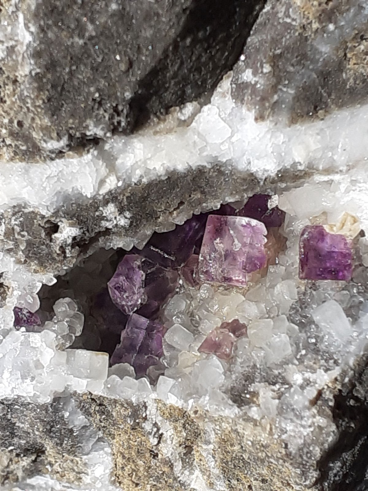 Fluorite, Calcite
7 x 5 cm
(Autor: Volkmar Stingl)