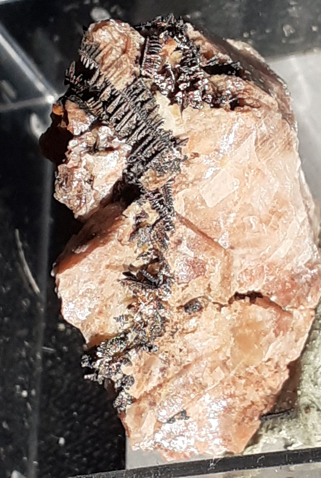 Silver, Baryte
2 x 1,5 cm
(Autor: Volkmar Stingl)