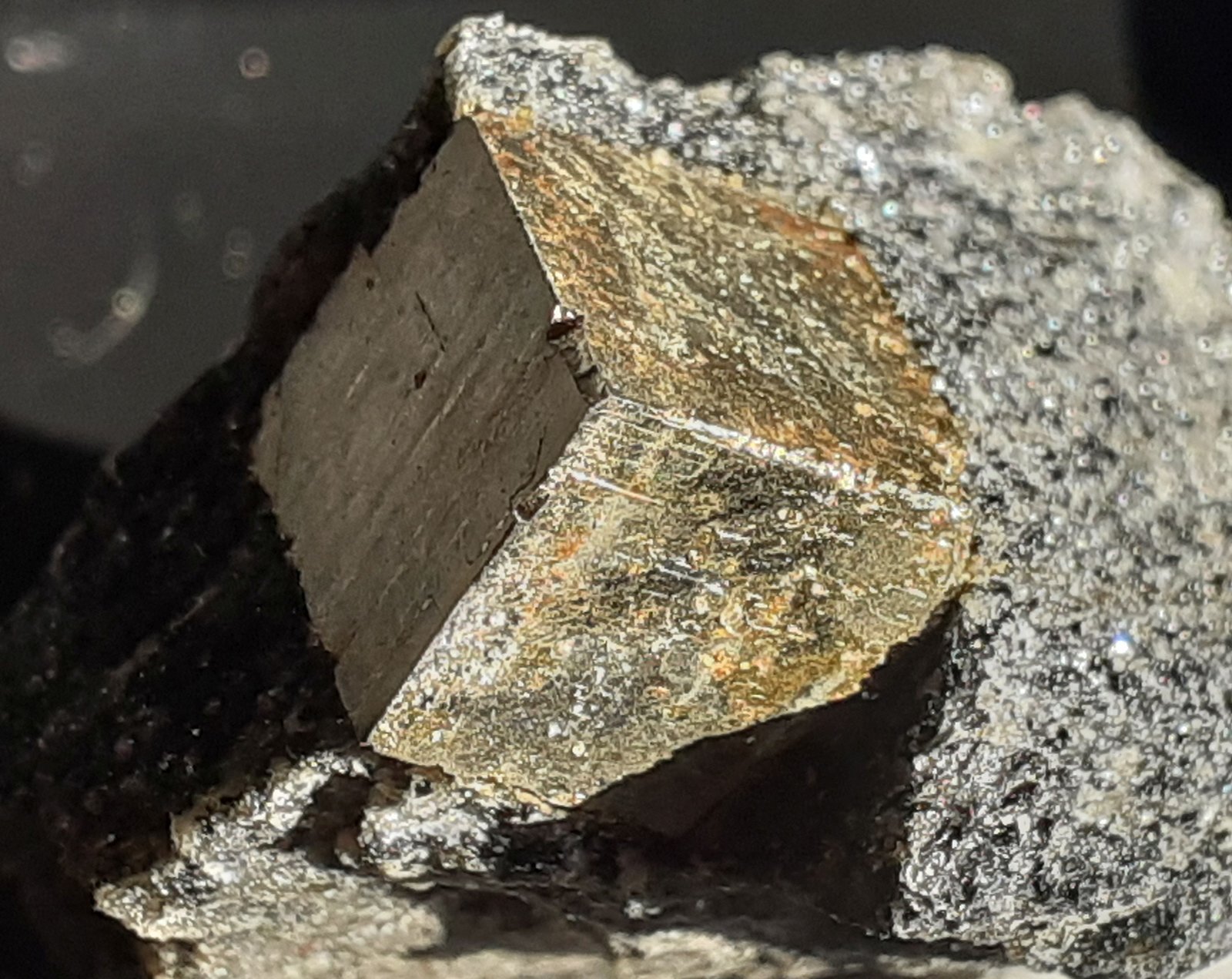Pyrite
3,5 x 3 cm
(Autor: Volkmar Stingl)