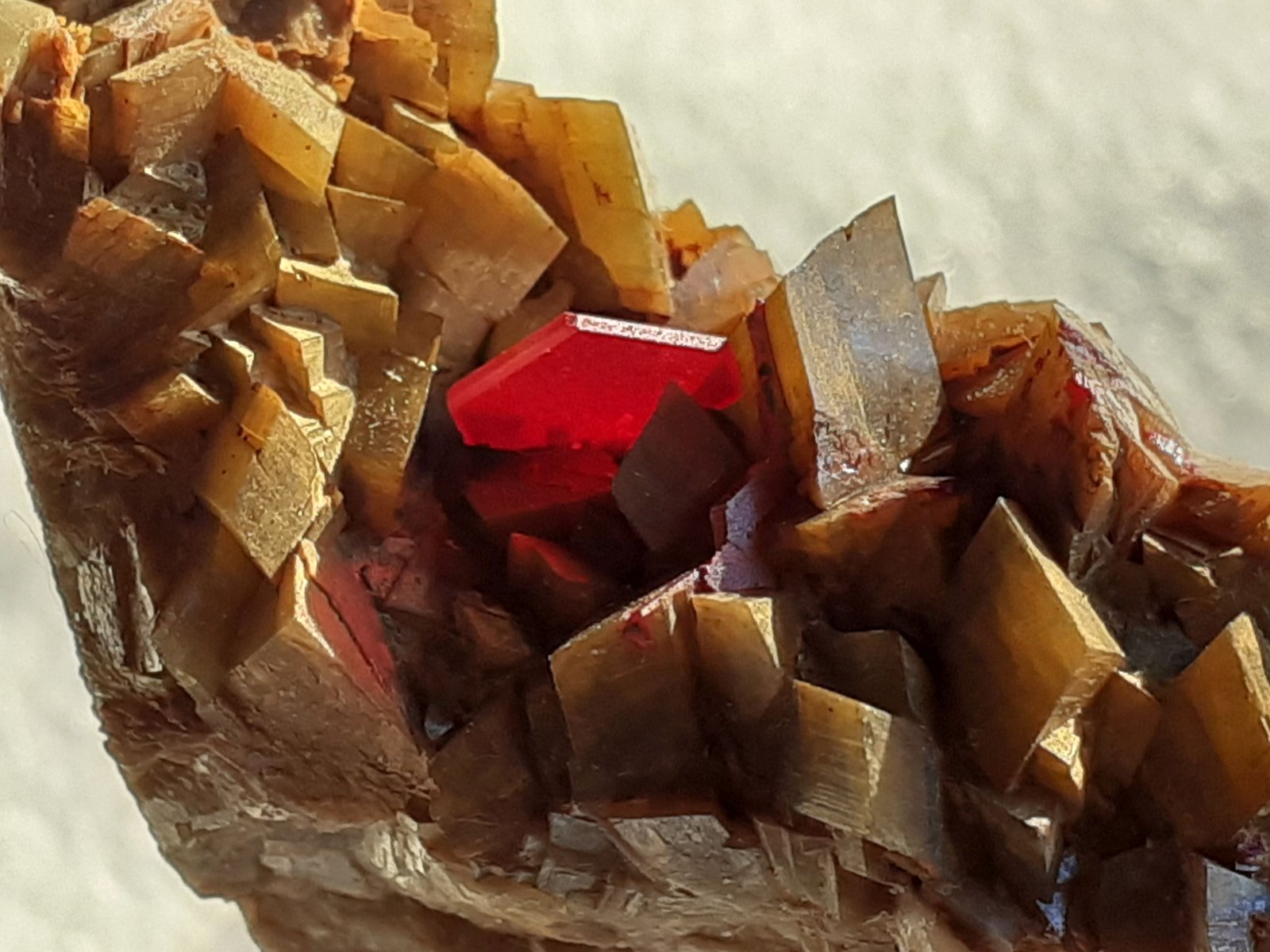 Cinnabar, Siderite
4 x 3 cm
(Autor: Volkmar Stingl)