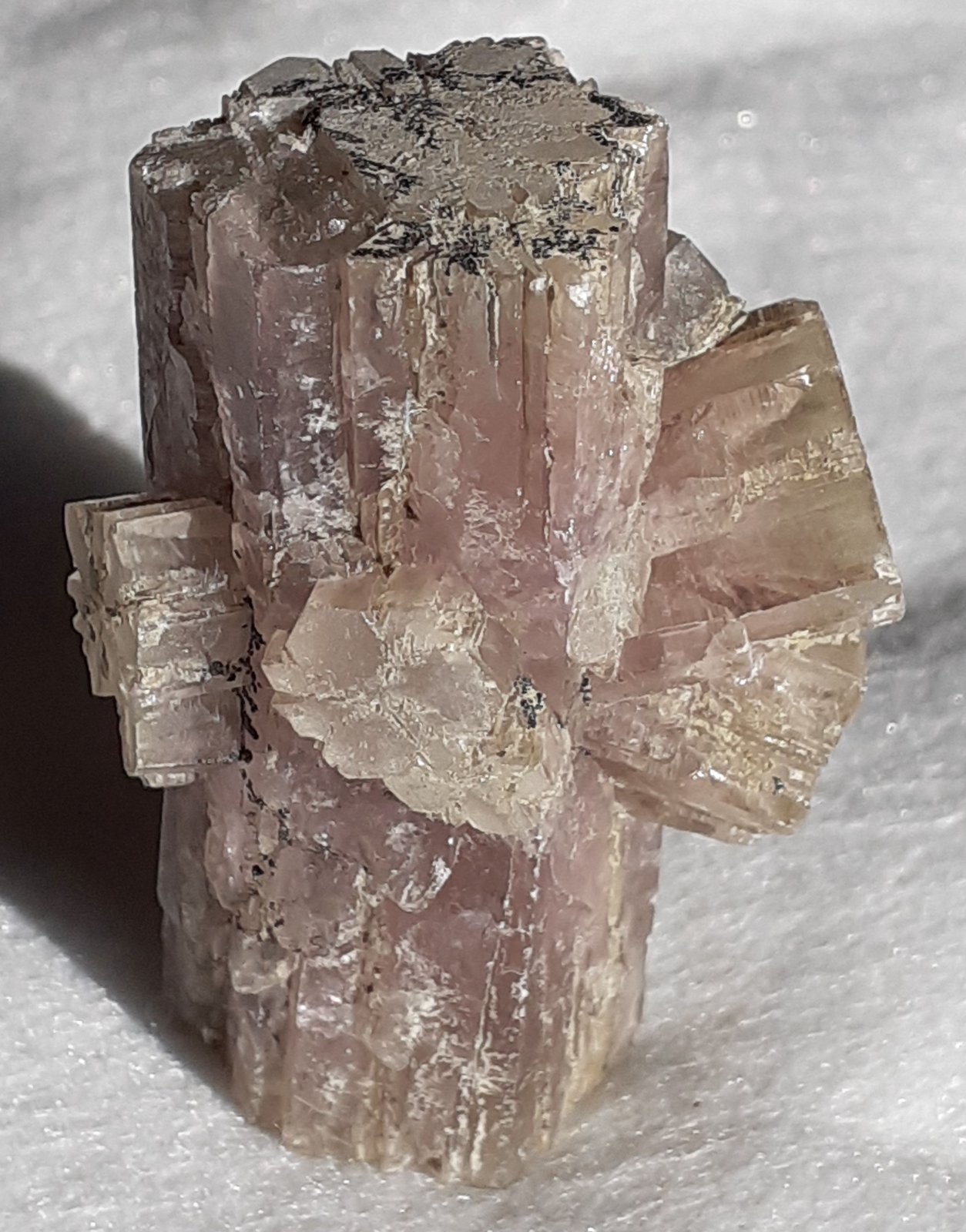 Aragonite
4 x 3 cm
(Autor: Volkmar Stingl)