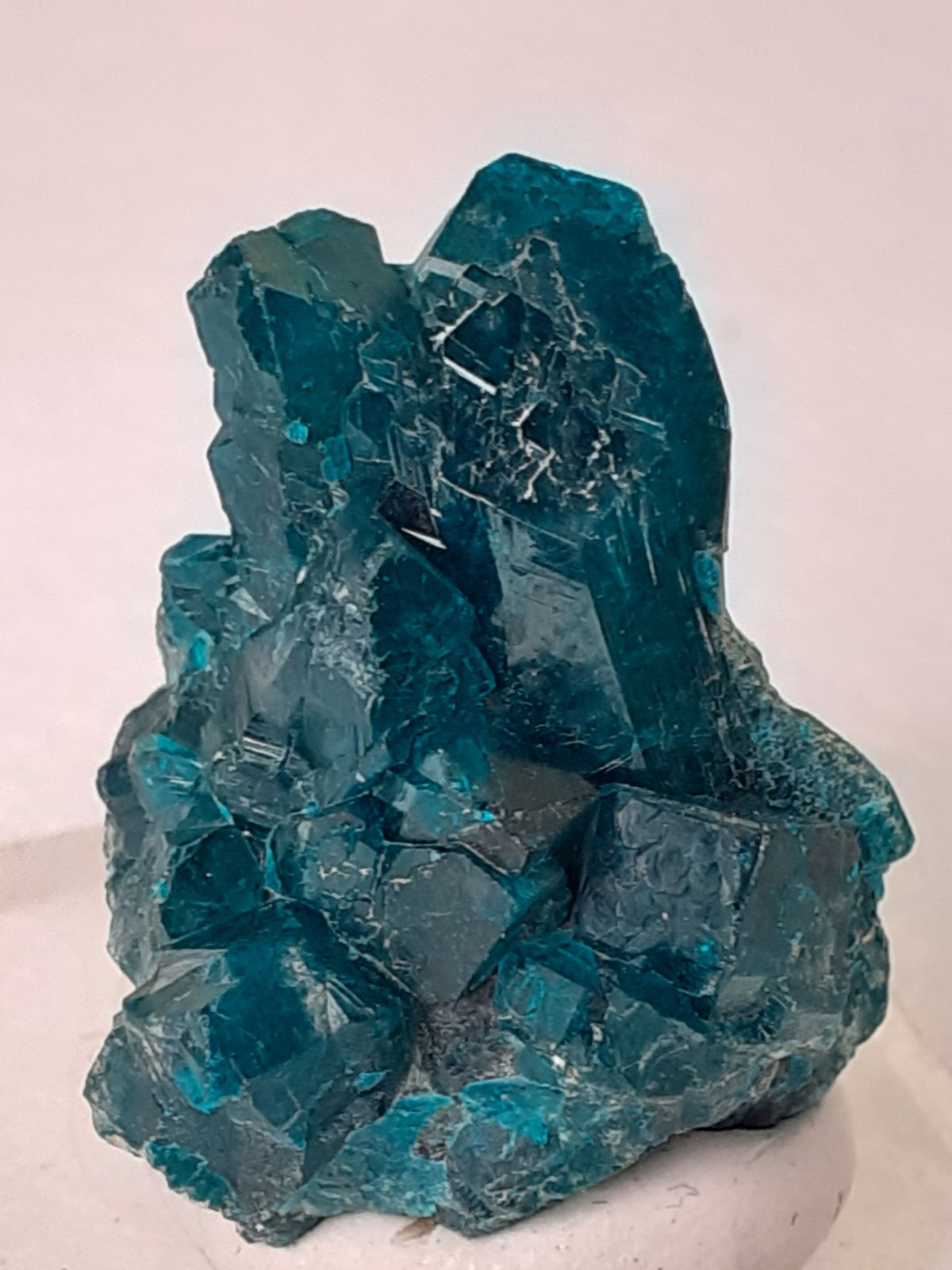 Dioptase
2,5 x 2 cm
(Autor: Volkmar Stingl)