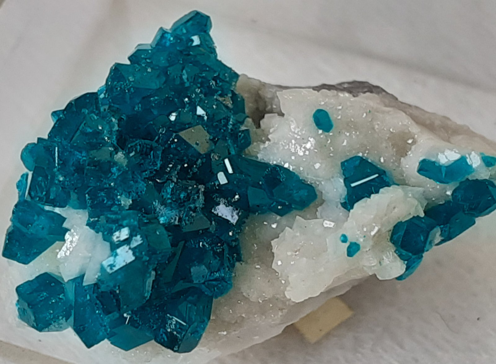 Dioptase, Quartz
2,5 x 1,5 cm
(Autor: Volkmar Stingl)