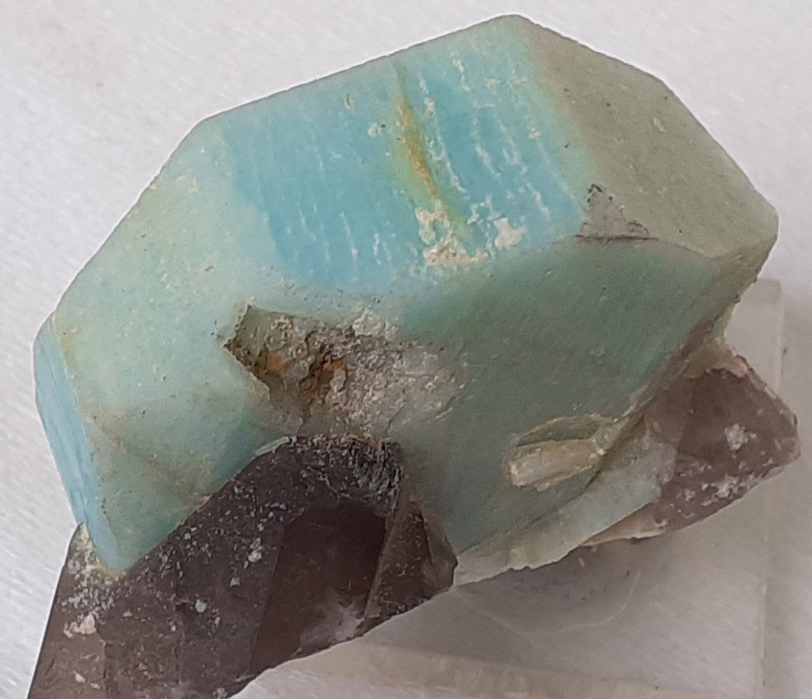 Microcline (variety amazonite), Quartz (variety smoky)
4 x 4 cm
(Autor: Volkmar Stingl)