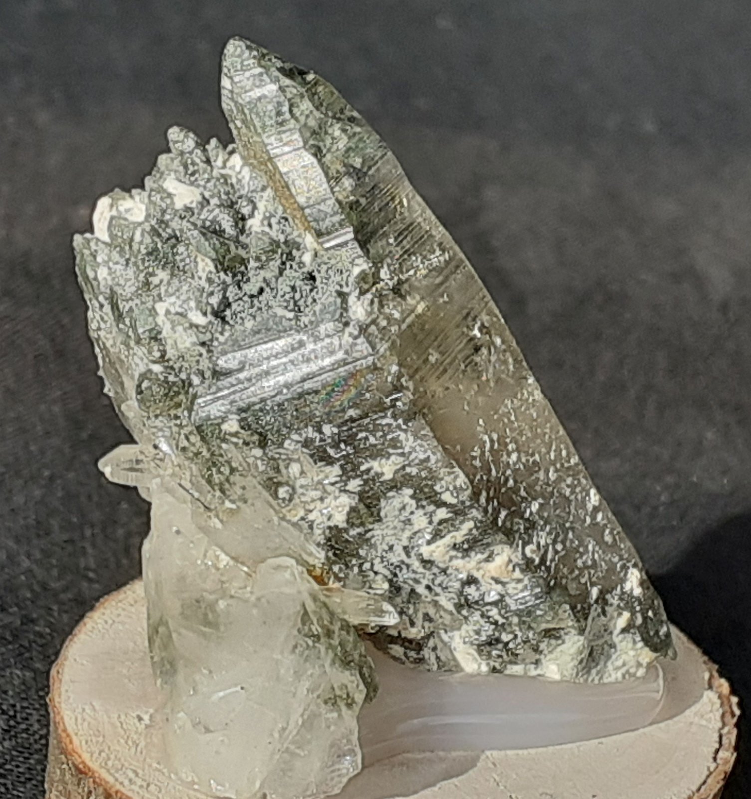Quartz, Actinolite, Tremolite
4 x 2 cm
(Autor: Volkmar Stingl)