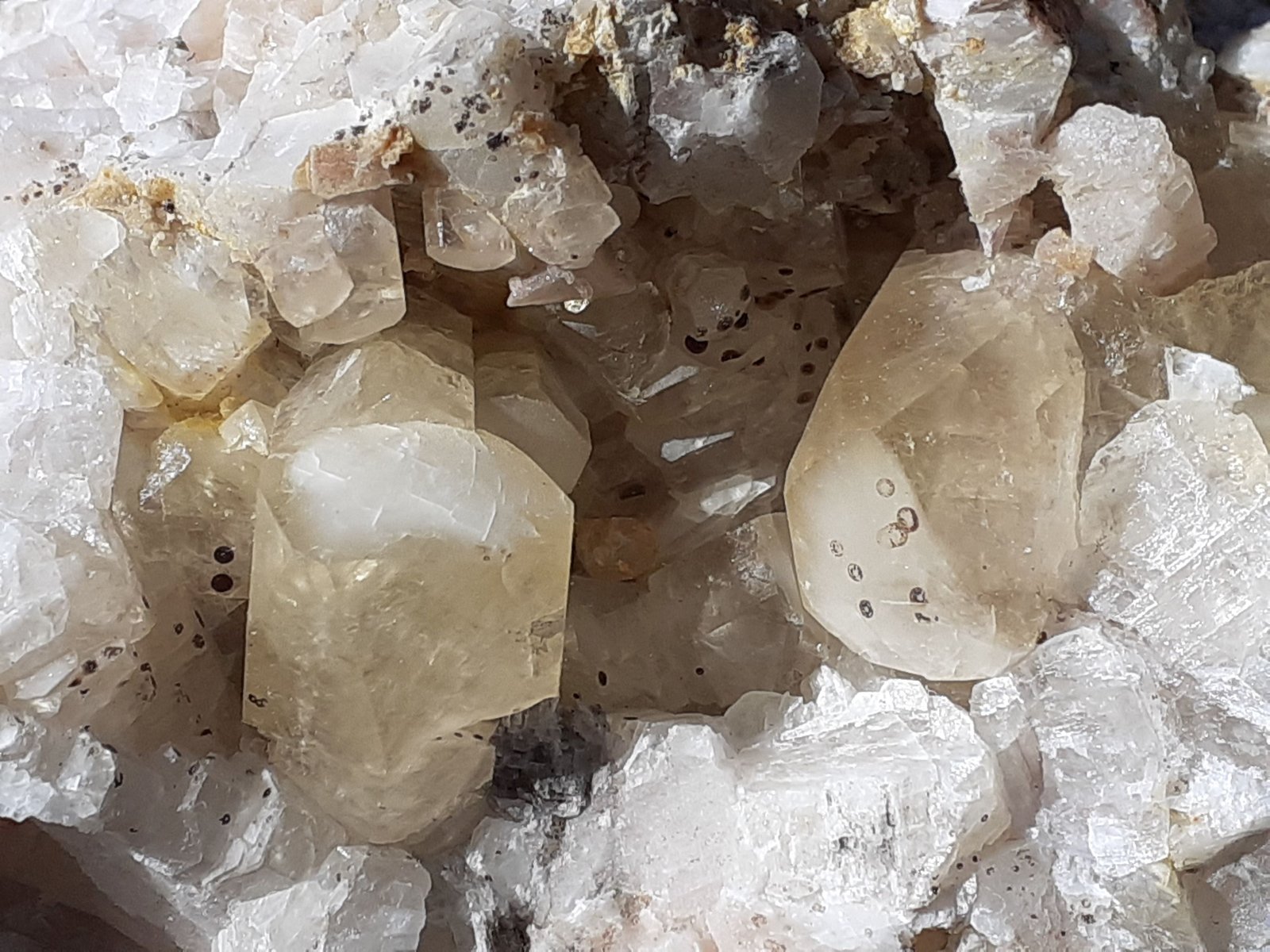 Calcite
11 x 8 cm
(Autor: Volkmar Stingl)