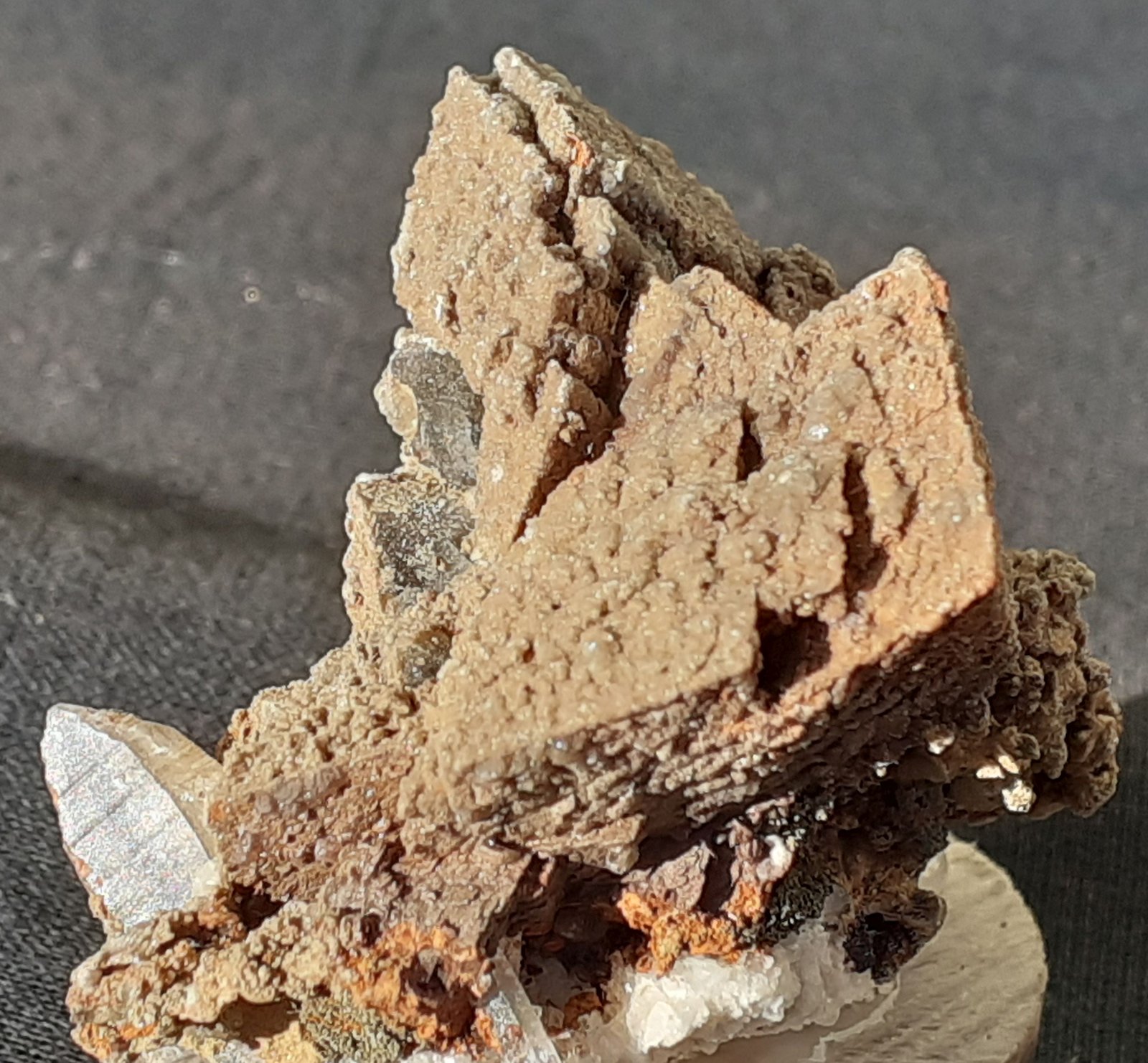 Limonite ps. after Siderite, Quartz
4 x 3 cm
(Autor: Volkmar Stingl)