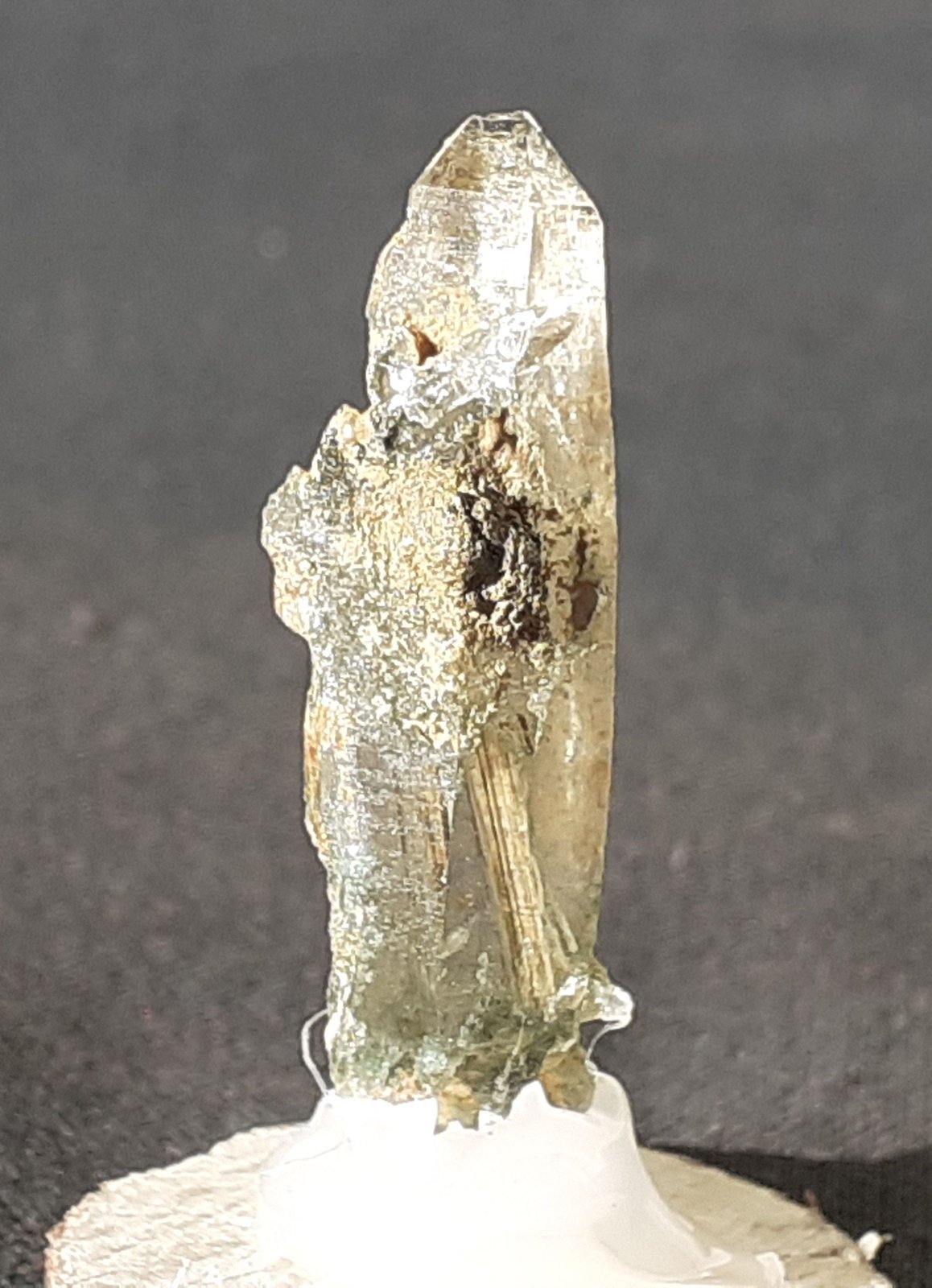 Quartz, Actinolite, Tremolite
3,5 x 1 cm
(Autor: Volkmar Stingl)