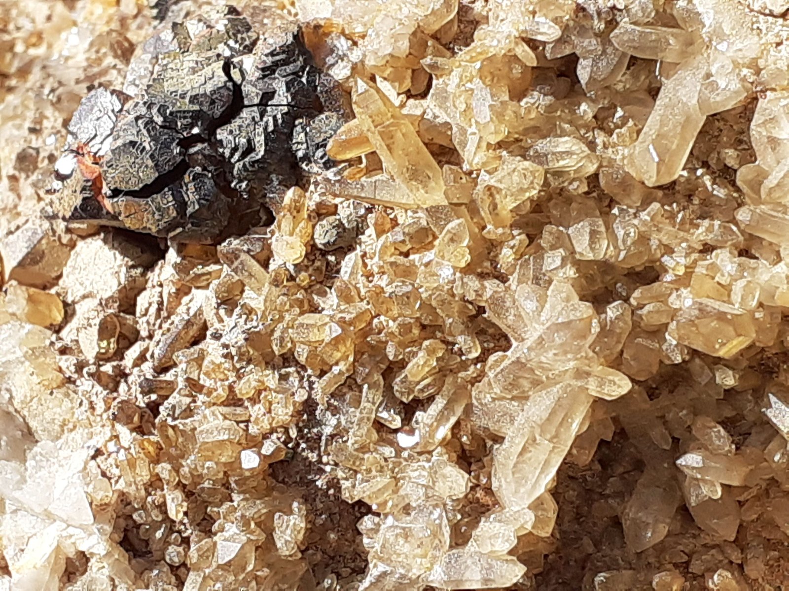 Quartz (variety smoky quartz), Martite (hematite after magnetite)
16 x 7 cm
(Autor: Volkmar Stingl)