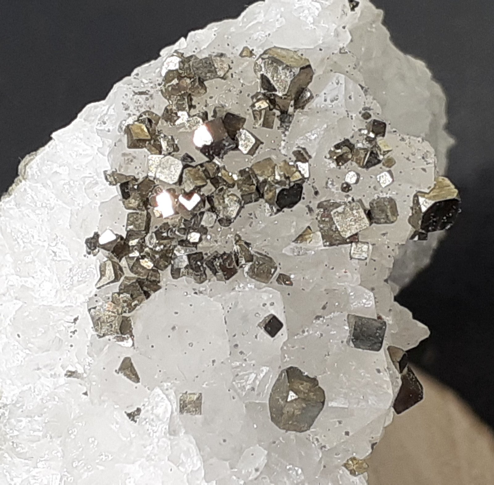 Pyrite, Quartz
FoV 2 x 2 cm
(Autor: Volkmar Stingl)