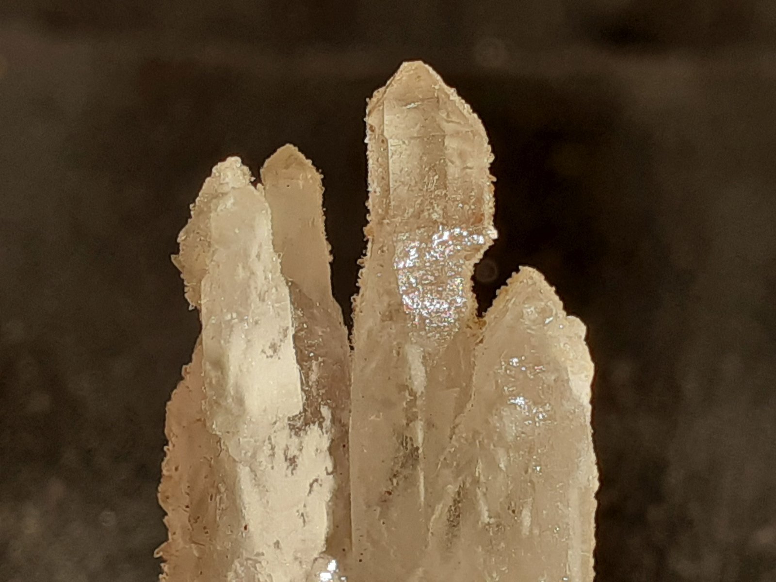 Quartz, Natrolite
2 x 1,3 cm
(Autor: Volkmar Stingl)