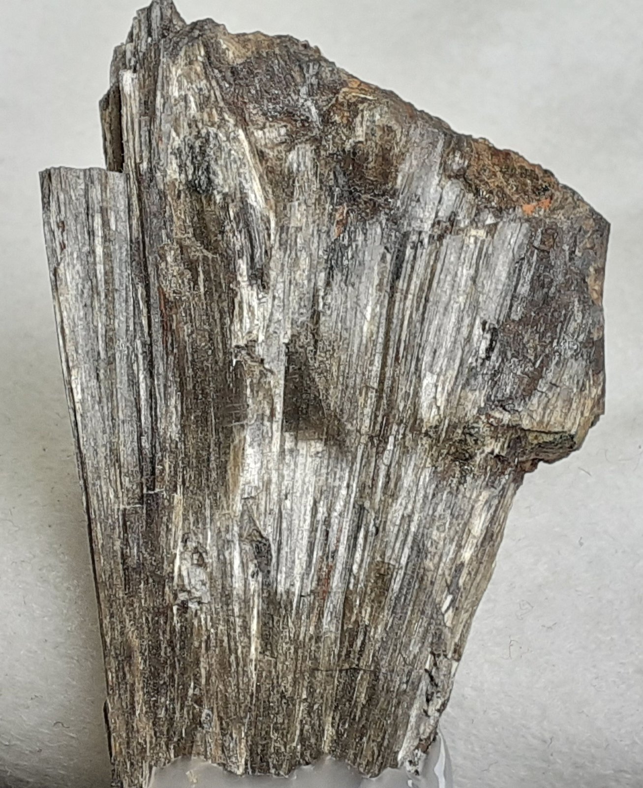Anthophyllite, Almandine
5,5 x 3,5 cm
(Autor: Volkmar Stingl)