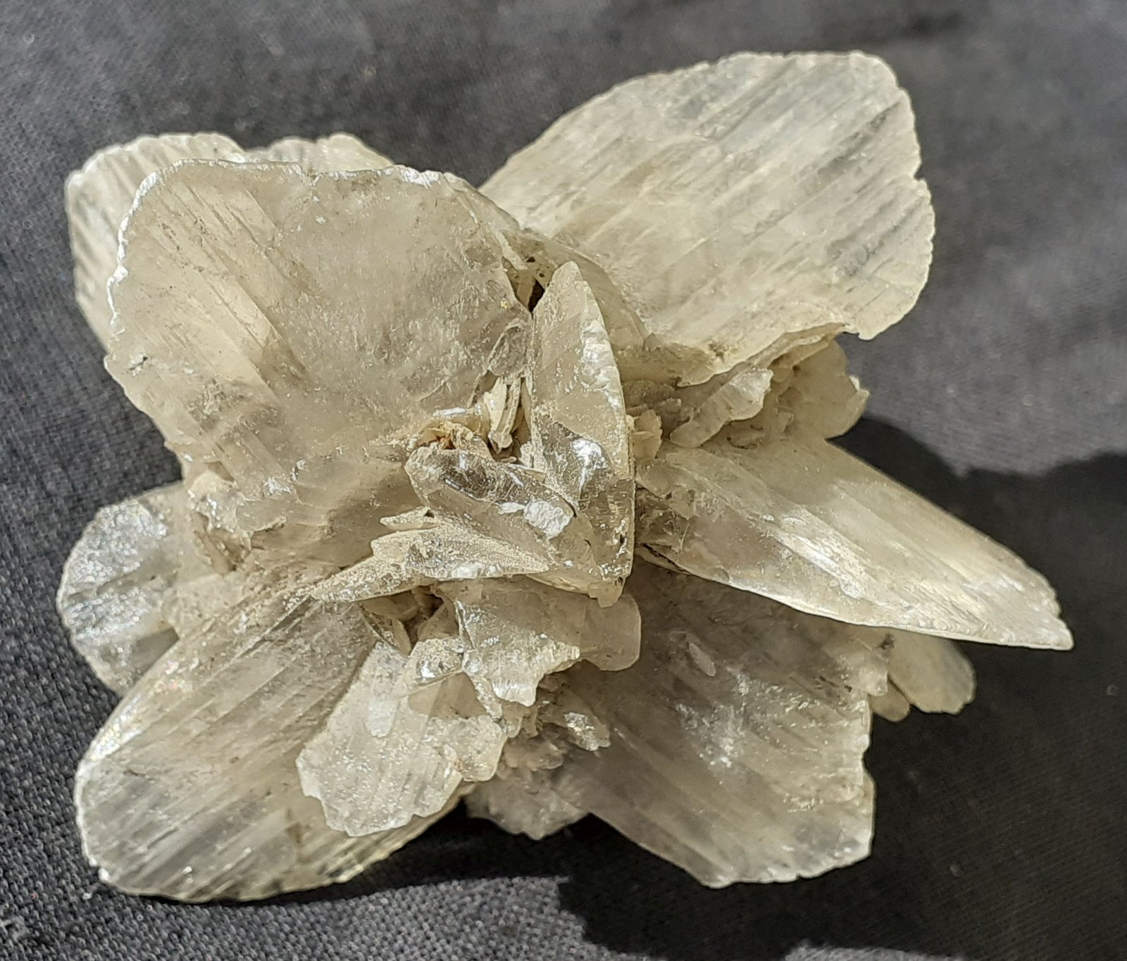 Gypsum
5,5 x 5,5 cm
(Autor: Volkmar Stingl)