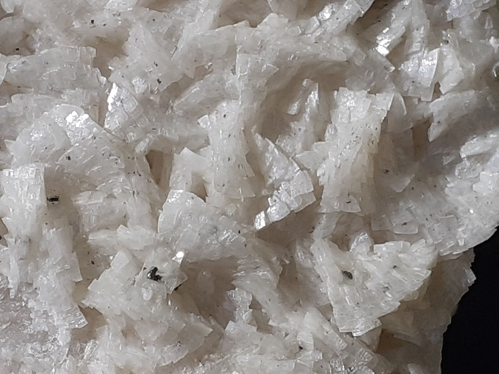 Dolomite, Marcasite
5 x 5 cm
(Autor: Volkmar Stingl)