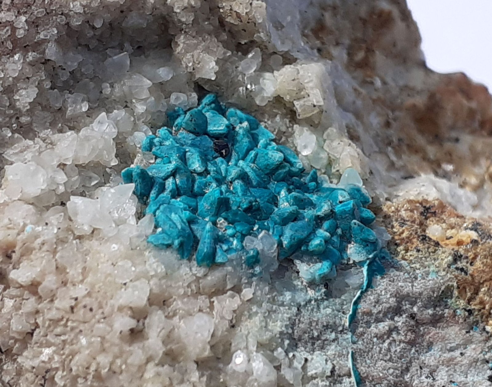 Chrysocolla, Calcite
FoV 2,5 x 2 cm
(Autor: Volkmar Stingl)