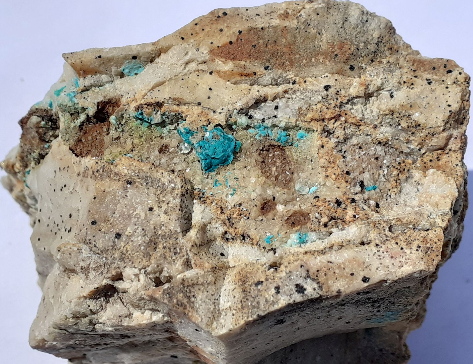 Chrysocolla, Dolomite, Calcite, Cuproadamite (?)
8 x 5 cm
(Autor: Volkmar Stingl)