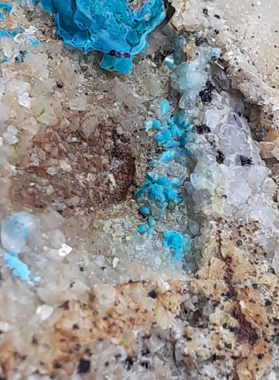Chrysocolla, Dolomite, Calcite, Cuproadamite (?)
8 x 5 cm
(Autor: Volkmar Stingl)