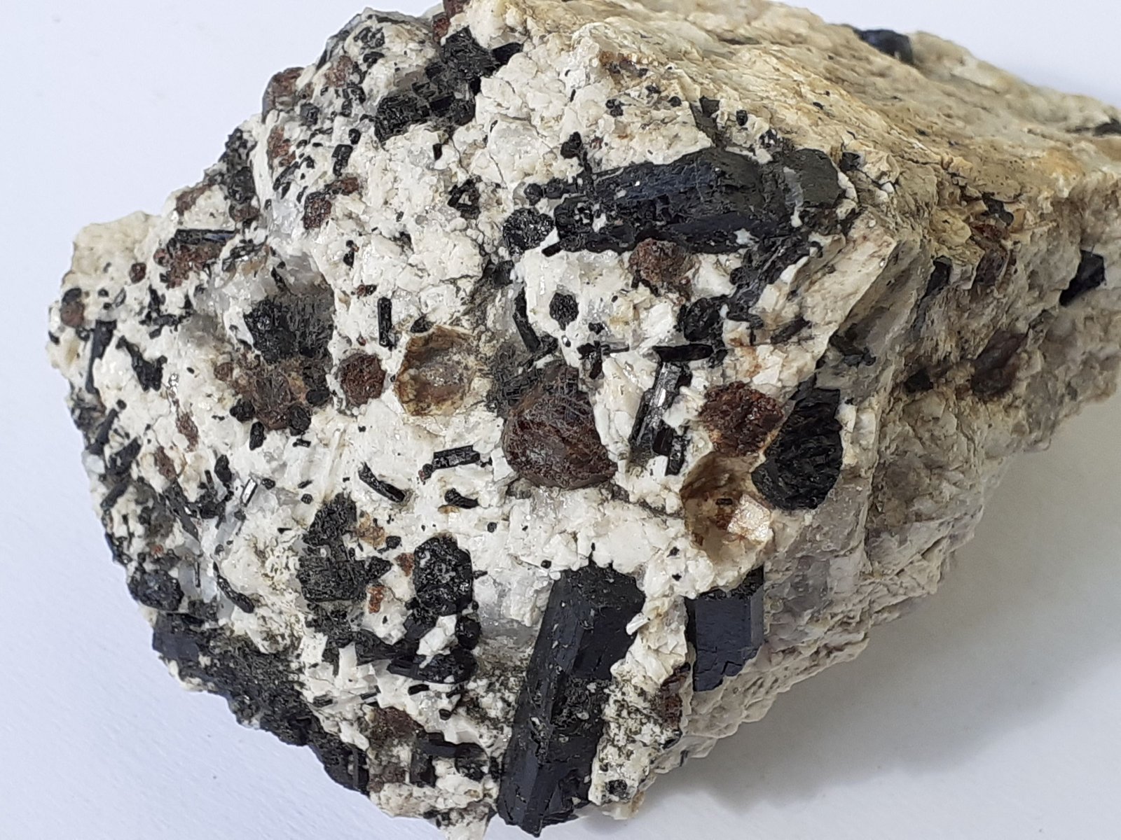 Schorl (Tourmaline Group), Almandine (Garnet Group)
8 x 6,5 cm
(Autor: Volkmar Stingl)