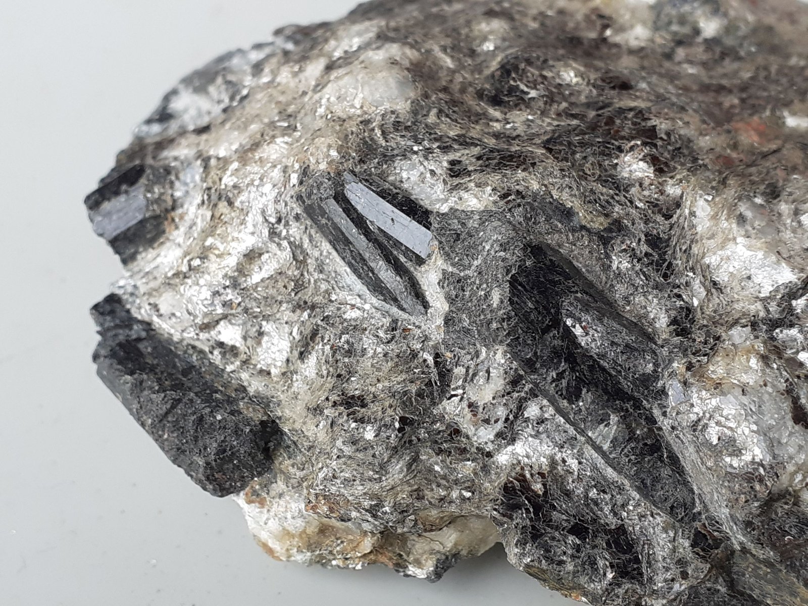 Schorl (Tourmaline Group)
9,5 x 7 cm
(Autor: Volkmar Stingl)
