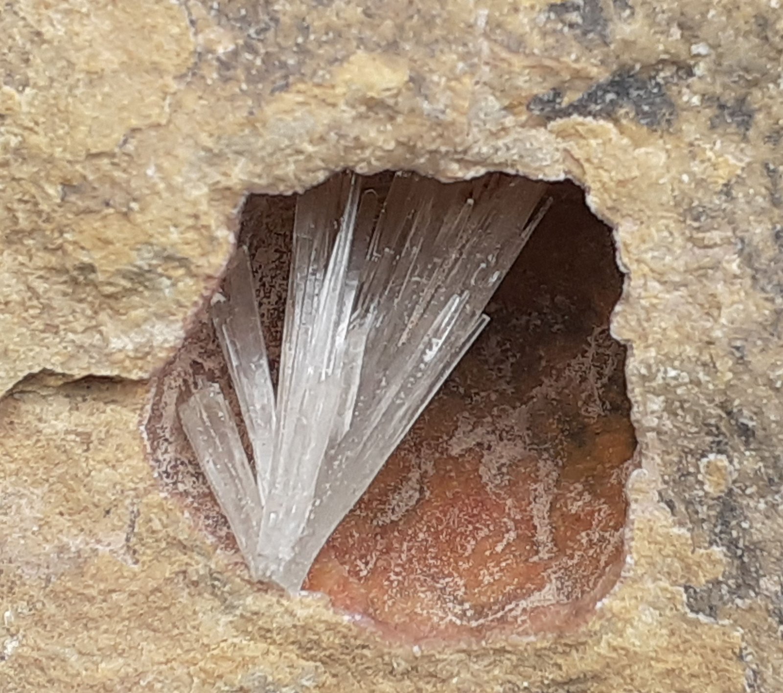 Aragonite
7,5 x 7 cm
(Autor: Volkmar Stingl)