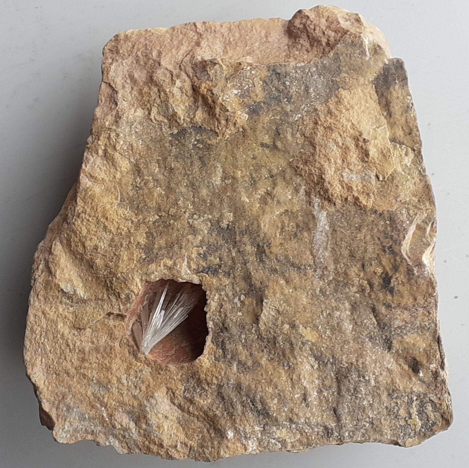 Aragonite
7,5 x 7 cm
(Autor: Volkmar Stingl)
