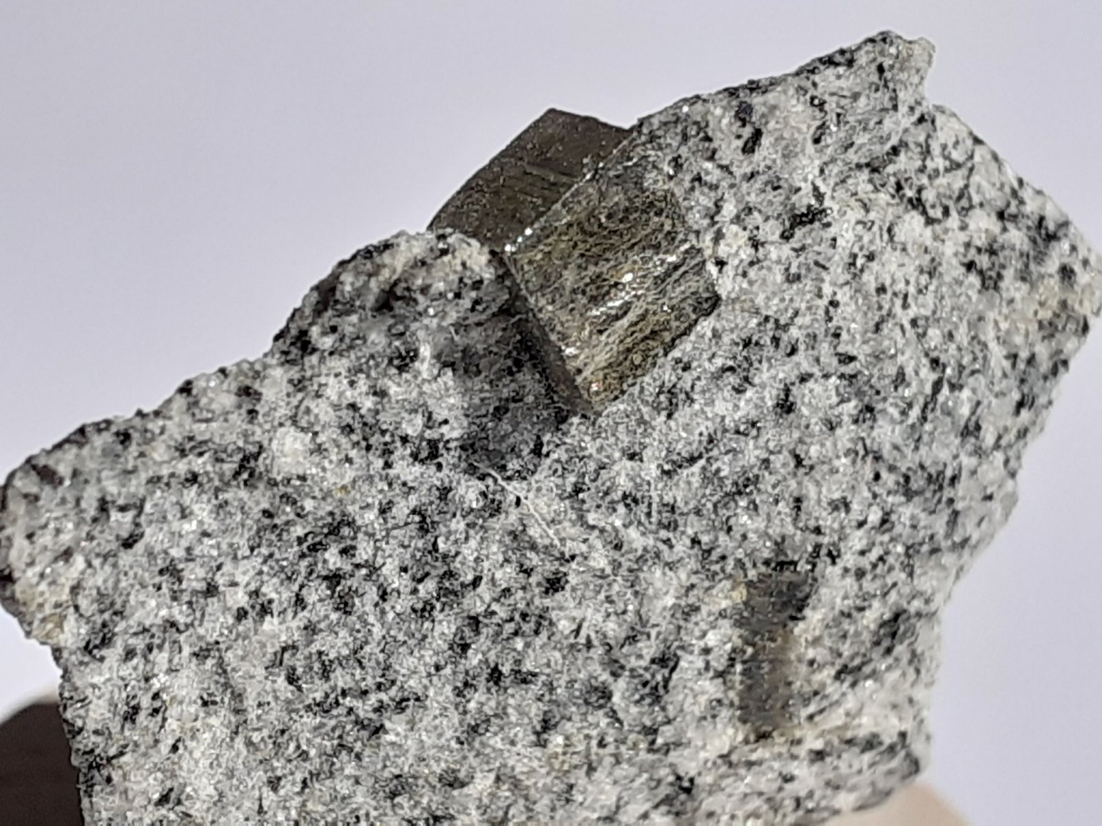 Pyrite
3 x 2,5 cm
(Autor: Volkmar Stingl)