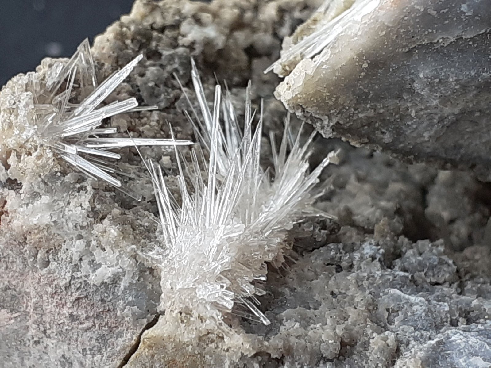 Aragonite
8 x 7 cm
(Autor: Volkmar Stingl)