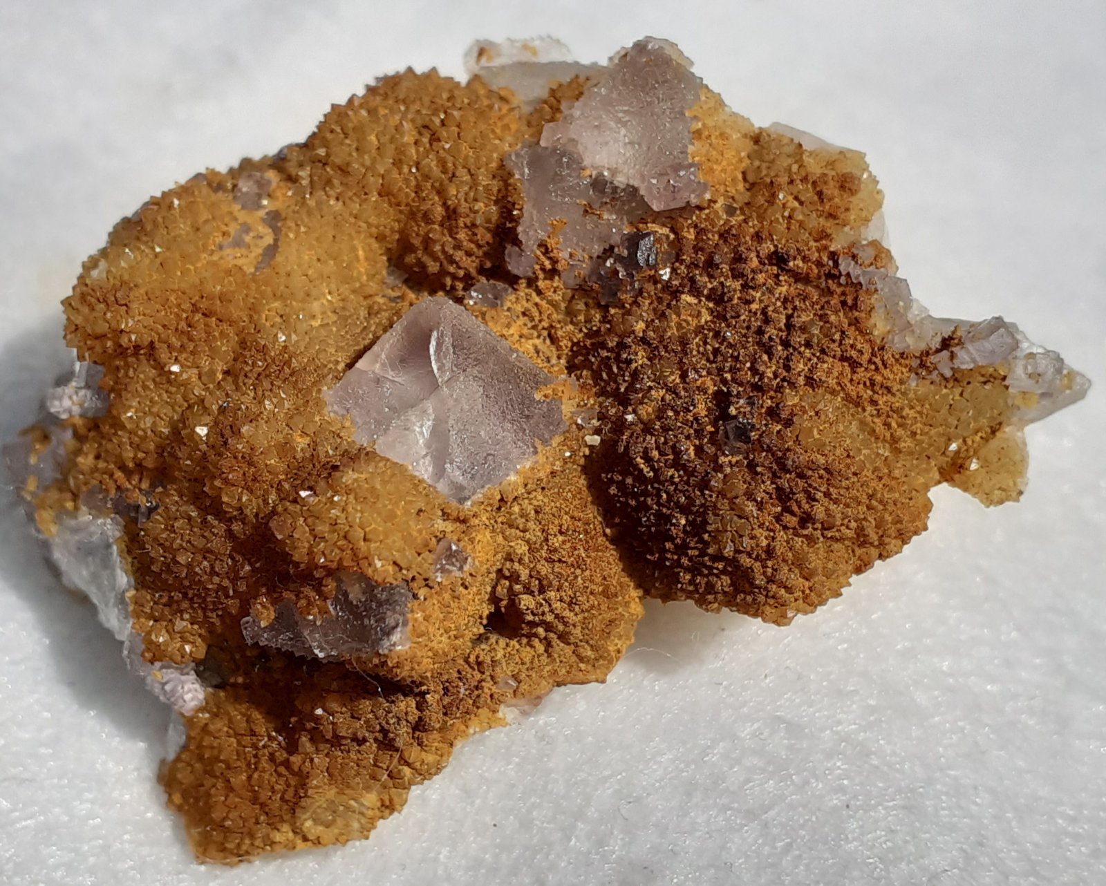 Fluorite, Quartz
3,5 x 2,5 cm
(Autor: Volkmar Stingl)