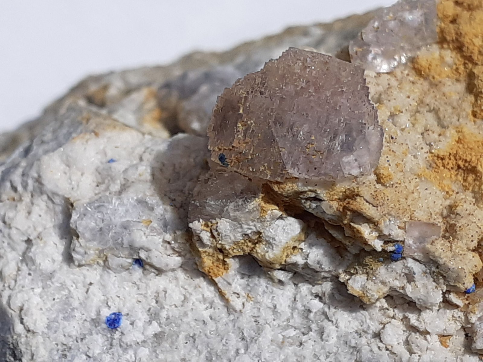 Fluorite, Quartz (variety chalcedony), Azurite
9 x 6,5 cm
(Autor: Volkmar Stingl)