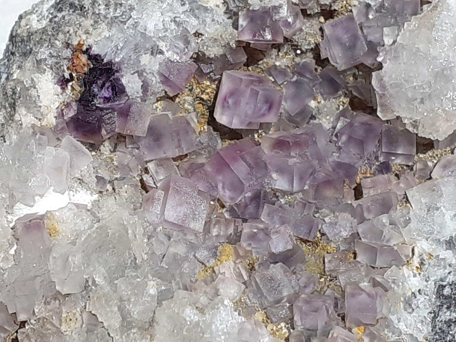 Fluorite
6 x 4,5 cm
(Autor: Volkmar Stingl)